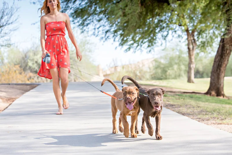 Retractable Dual Doggie Leash with LED Light 360 Swivel